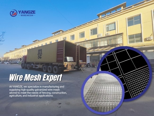 galvanised welded wire mesh roll Factory
