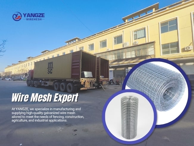 galvanised welded wire mesh roll Factory